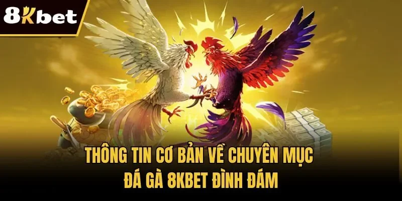 Thông tin cơ bản về chuyên mục đá gà 8KBET đình đám