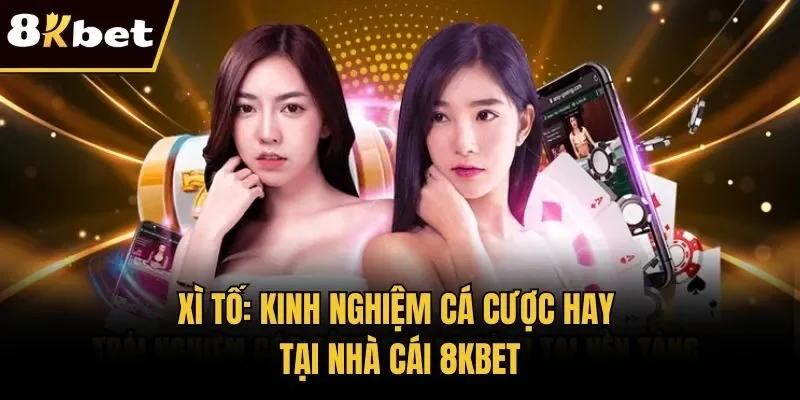 Xì Tố: Kinh Nghiệm Cá Cược Hay Tại Nhà Cái 8KBET